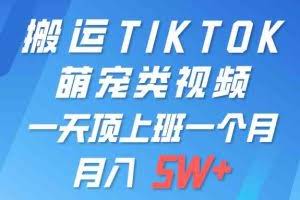 (9931期)一键搬运TIKTOK萌宠类视频 一部手机即可操作 所有平台均可发布 轻松月入5W+