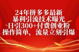 （10559期）24年拼多多最新暴利引流技术曝光，日引300+付费创业粉，操作简单，流量…