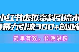 （10941期）小红书虚拟资料引流术，日暴力引流300+创业粉，简单有效，长期吸粉