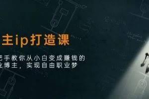 (11109期)博主ip打造课:手把手教你从小白变成赚钱的创业博主,实现自由职业梦