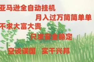 (11124期)亚马逊全自动浏览挂机