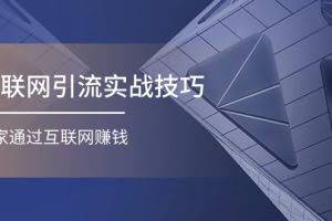 (11108期)互联网引流实操技巧(适合微商,吸引宝妈),宅家通过互联网赚钱(17节)