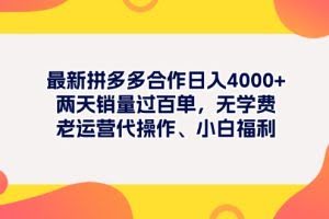 （11410期）最新拼多多项目日入4000+两天销量过百单，无学费、老运营代操作、小白福利