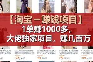（11685期）【淘宝赚钱项目】1单可赚1000多，大佬独家项目，年赚几百万