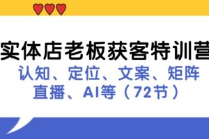 (11991期)实体店老板获客特训营:认知、定位、文案、矩阵、直播、AI等(72节)
