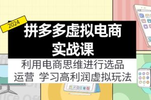 (12025期)拼多多虚拟电商实战课:虚拟资源选品+运营,高利润虚拟玩法(更新14节)