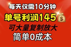 (12027期)每天仅需10分钟,单号利润145 可复制放大 简单0成本