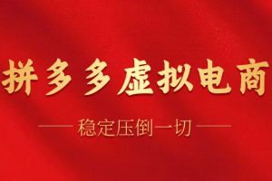 (12035期)拼多多虚拟电商,单人操作10家店,单店日盈利100+