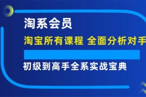 (12055期)淘系会员【淘宝所有课程,全面分析对手】,初级到高手全系实战宝典