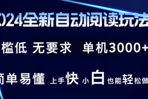 (12063期)2024全新自动阅读玩法 全新技术 全新玩法 单机3000+ 小白也能玩的转 也…