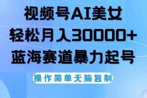 (12125期)视频号AI美女跳舞,轻松月入30000+,蓝海赛道,流量池巨大,起号猛,无…