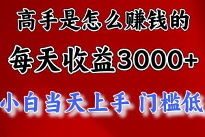 (12144期)1天收益3000+,月收益10万以上,24年8月份爆火项目
