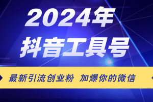 (12149期)24年抖音最新工具号日引流300+创业粉,日入5000+