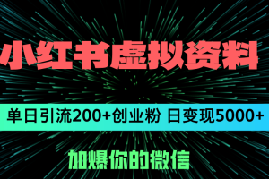 (12164期)小红书虚拟资料日引流200+创业粉,单日变现5000+