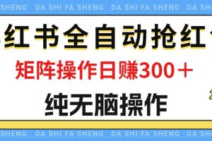 (12151期)最新小红书全自动抢红包,单号一天50+ 矩阵操作日入300+,纯无脑操作