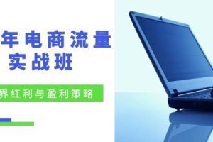 (12168期)24年电商流量实战班:无界 红利与盈利策略,终极提升/关键词优化/精准…