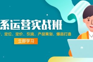 (12186期)淘系运营实战班:市场分析、定位、定价、引流、产品策划,爆品打造