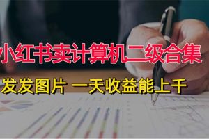 (12228期)小红书卖计算机二级合集,发发图片 一天收益能上千
