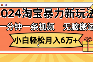 (12239期)一分钟一条视频,无脑搬运,小白轻松月入6万+2024淘宝暴力新玩法,可批量