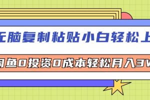 (12258期)无脑复制粘贴,小白轻松上手,电商0投资0成本轻松月入3W+
