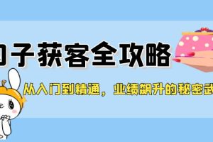 (12247期)从入门到精通,勾子获客全攻略,业绩飙升的秘密武器
