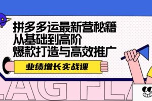 (12260期)拼多多运最新营秘籍:业绩 增长实战课,从基础到高阶,爆款打造与高效推广