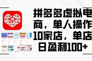 (12267期)拼多多虚拟电商,单人操作10家店,单店日盈利100+