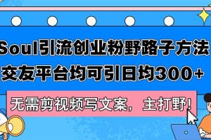 (12281期)Soul引流创业粉野路子方法,交友平台均可引日均300+,无需剪视频写文案…