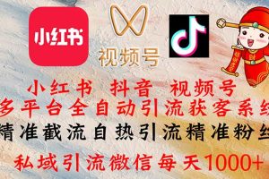 (12301期)小红书,抖音,视频号多平台全自动引流获客系统 精准截流自热引流精准…