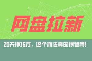 (12294期)网盘拉新+私域运营玩法,零基础入门,小白可操作,当天见效,日入5000+