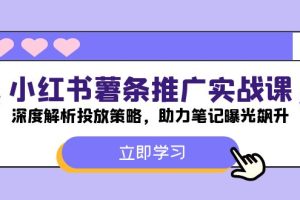 (12289期)小红书-薯 条 推 广 实战课:深度解析投放策略,助力笔记曝光飙升