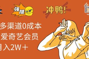(12317期)2024多渠道0成本售卖爱奇艺会员月入2W+