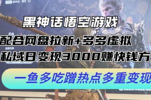 (12316期)黑神话悟空游戏配合网盘拉新+多多虚拟+私域日变现3000+赚快钱方法。…