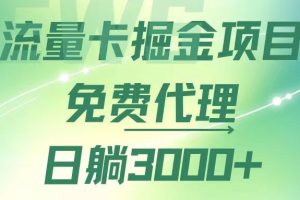 (12321期)流量卡掘金代理,日躺赚3000+,变现暴力,多种推广途径