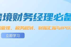 (12323期)跨境 财务经理必备:资金管理、税务规划、财报汇报与IPO实战