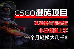 (12332期)CSGO 装备搬砖项目,操作简单,不需要会玩游戏,小白也能快速上手,一…