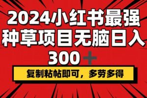 (12336期)2024小红书最强种草项目,无脑日入300+,复制粘帖即可,多劳多得