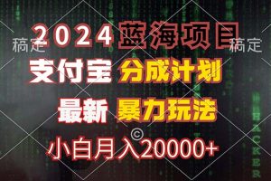 (12339期)2024蓝海项目,支付宝分成计划,暴力玩法,刷爆播放量,小白月入20000+