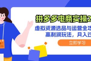 (12360期)拼多多电商实操2.0:虚拟资源选品与运营全攻略,高利润玩法,月入过万