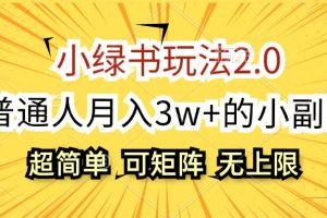 (12374期)小绿书玩法2.0,超简单,普通人月入3w+的小副业,可批量放大