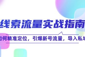 (12382期)线 索 流 量-实战指南:如何精准定位,引爆新号流量,导入私域
