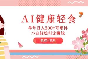 (12388期)AI健康轻食,单号日入500+可矩阵,小白轻松引流赚钱(教程+食谱)