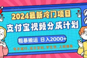 (12407期)2024最新冷门项目!支付宝视频分成计划,直接粗暴搬运,日入2000+,有…