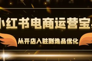 (12497期)小红书电商运营宝典:从开店入驻到选品优化,一站式解决你的电商难题
