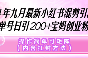 (12530期)小红书混剪引流,单号日引200+宝妈创业粉,操作简单可矩阵(内含扛封…