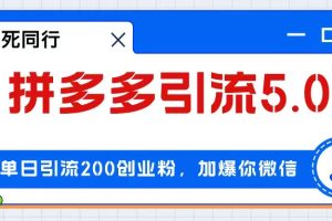 (12533期)拼多多引流付费创业粉,单日引流200+,日入4000+