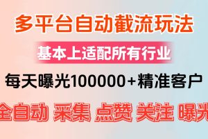 (12709期)小红书抖音视频号最新截流获客系统,全自动引流精准客户【日曝光10000+…