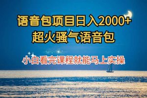 (12734期)语音包项目 日入2000+ 超火骚气语音包小白看完课程就能马上实操
