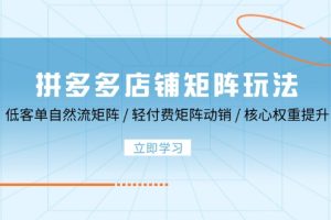(12720期)拼多多店铺矩阵玩法:低客单自然流矩阵 / 轻付费矩阵 动销 / 核心权重提升