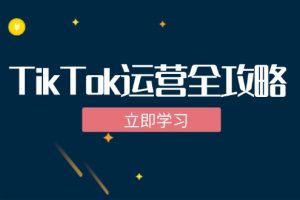 (12739期)TikTok实战运营全攻略:从下载软件到变现,抖音海外版实操教程